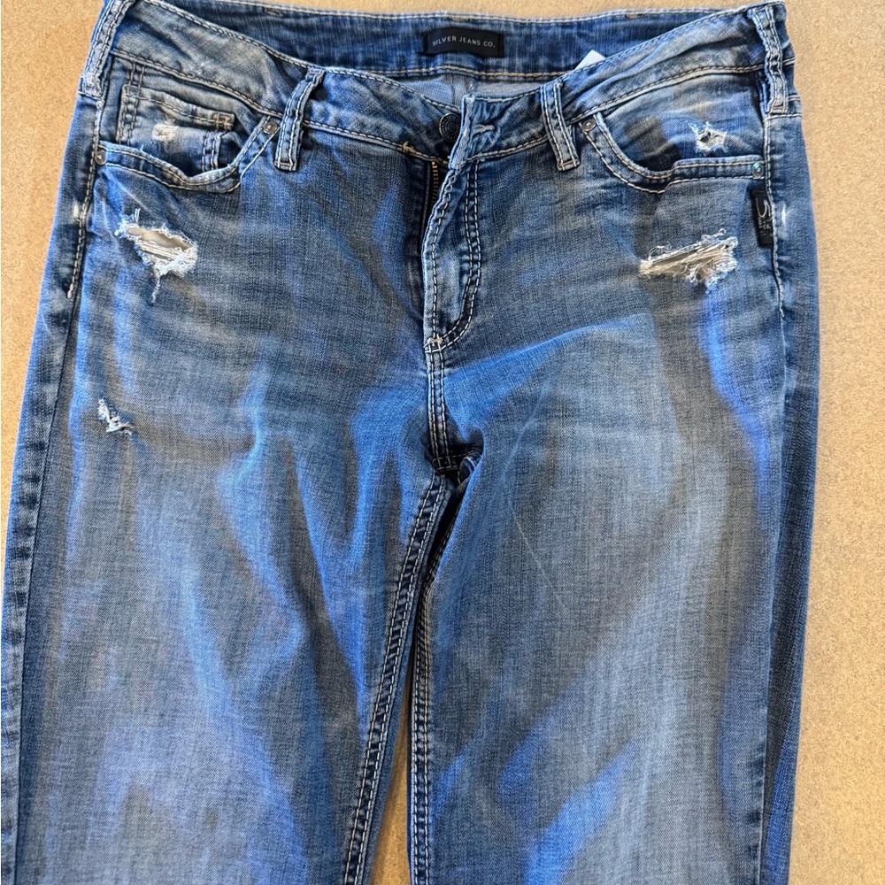 Silver Jeans Blue Skinny Denim Collection
